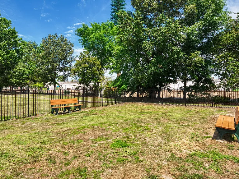 Spacious Dog Park