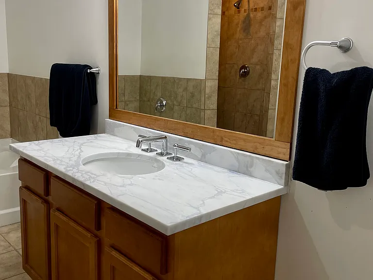Master Bath - new "Ludlow" Waterworks Faucet (same as Shinola Hotel downtown), under-mount sink and calacatta marble countertop
