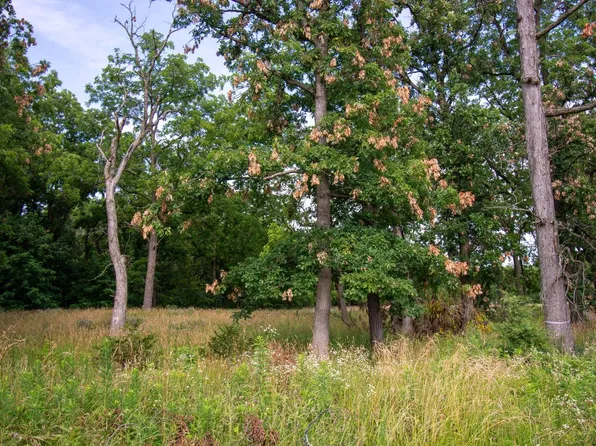 Lt20 SPRINGFIELD ROAD, Lake Geneva, WI 53147