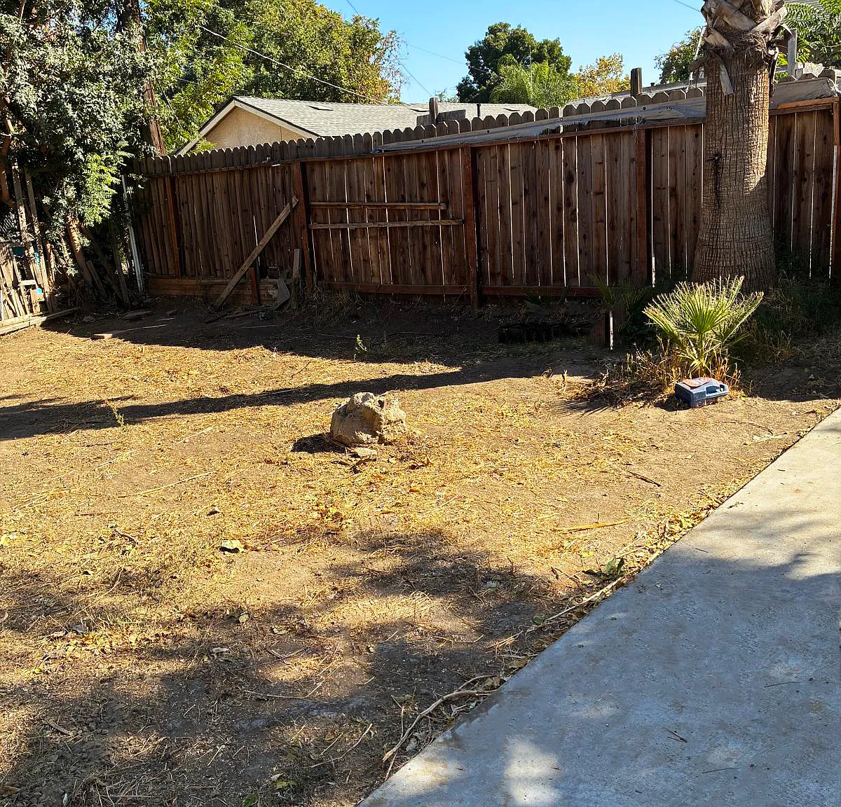 1 bed, 770 sqft, $1,275 — Photo 4