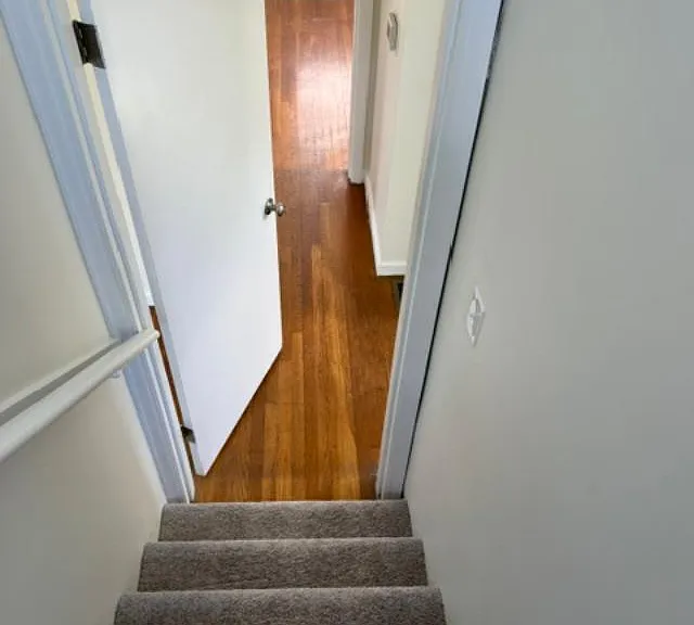 3036 Talisman Rd — Photo 50