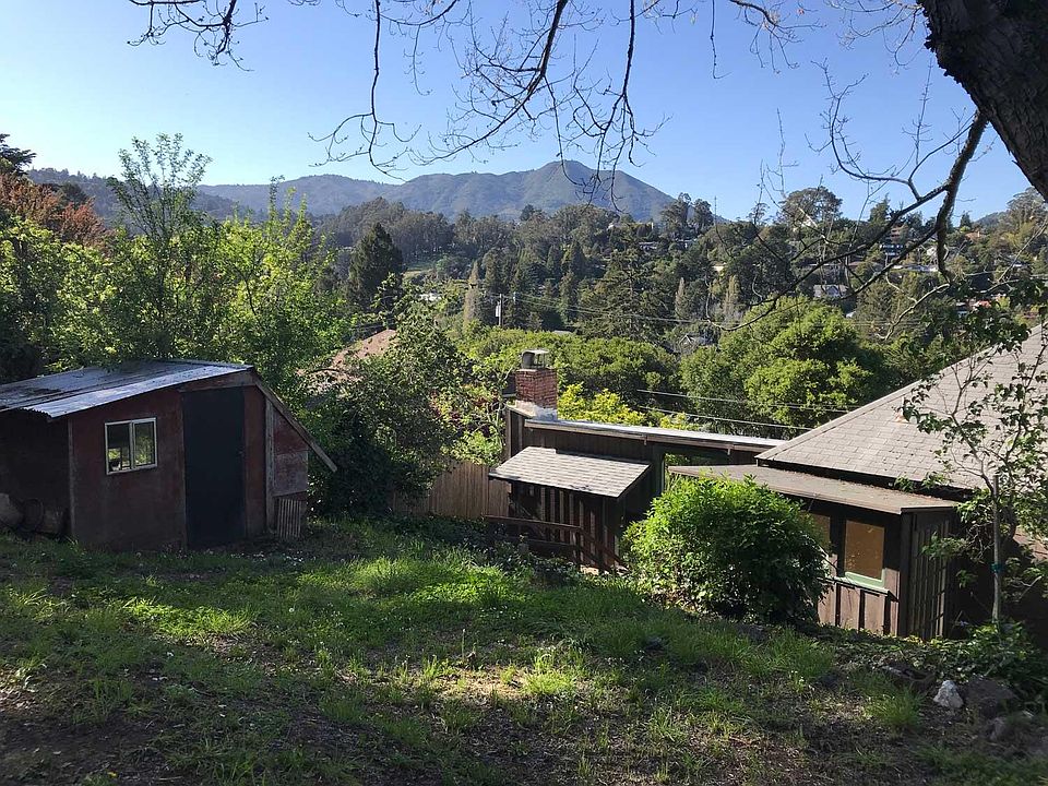 View from the yard