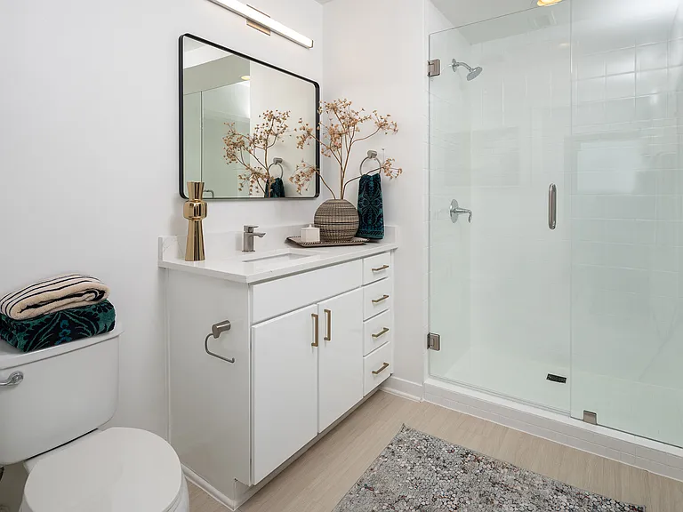 Sleek and modern frameless shower door