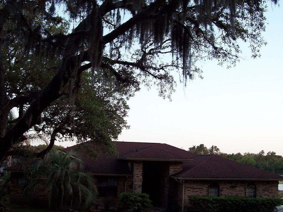 Florida Country living near the City