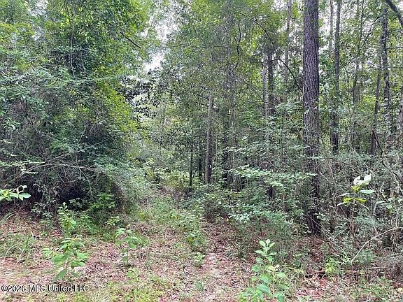 3rd image of 0 Highway 439 Ln