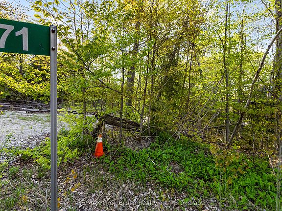 5th image of 71 Maple Dr