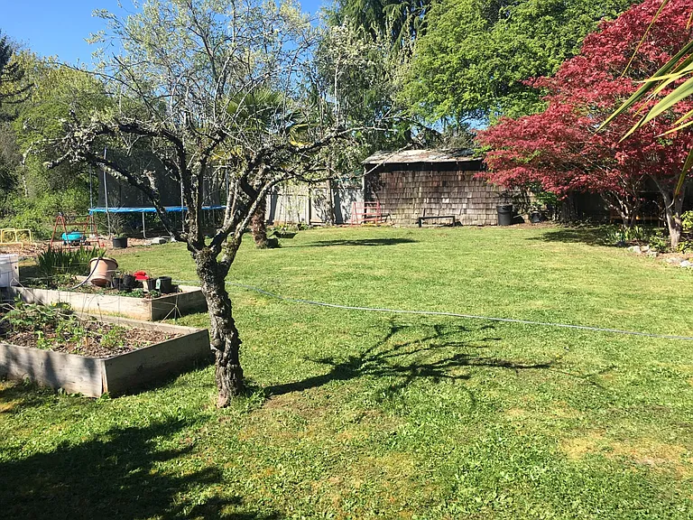Large, sunny backyard with raised garden beds (some with established raspberries and strawberries, others ready for annual veggies). Multiple fruiting Italian plum trees.