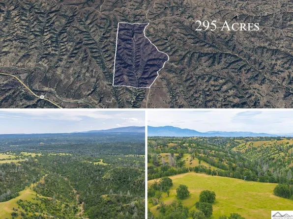 295 Acres Hwy #36, Cottonwood, CA 96022