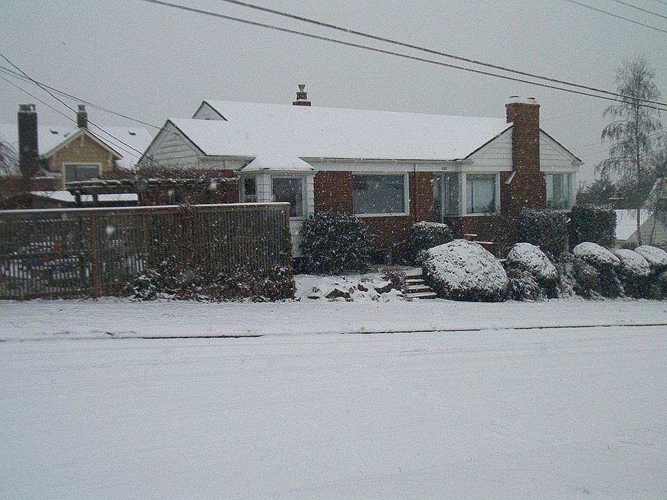 winter