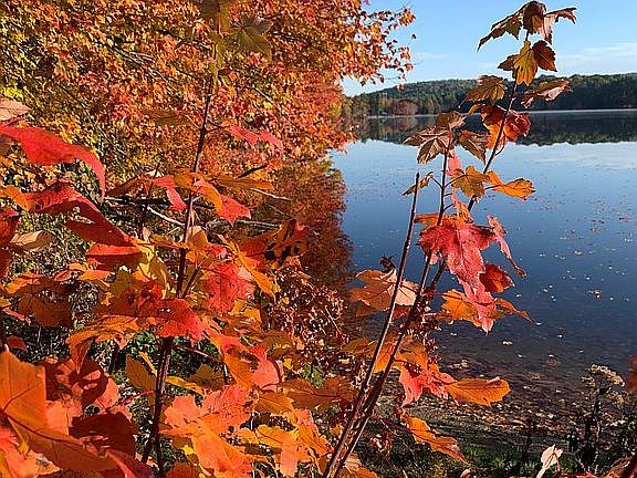 Autumn on Thompson Pond 