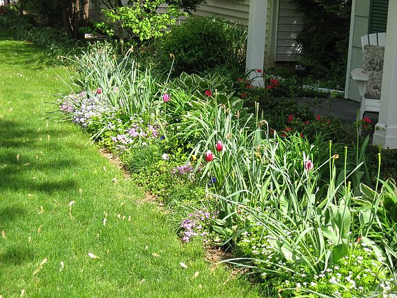 Mature Perennial Gardens