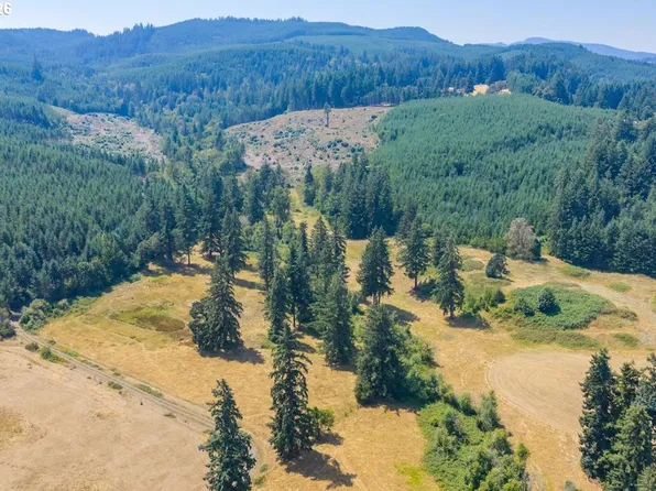 Upper Calapooia Dr, Sweet Home, OR 97386