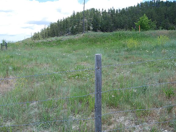 4th image of 00 Joe Hill Creek Road