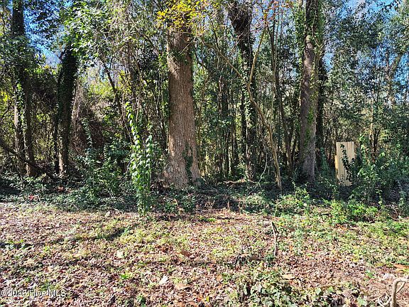 2nd image of 1138 French Rd Lot 41A