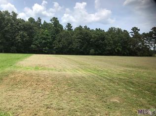 18069 Critter Cove Ln, Livingston, LA 70754