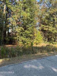 W Main St, Ridgeland, SC, 29936