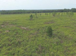 4733 Peanut Rd, Graceville, FL 32440