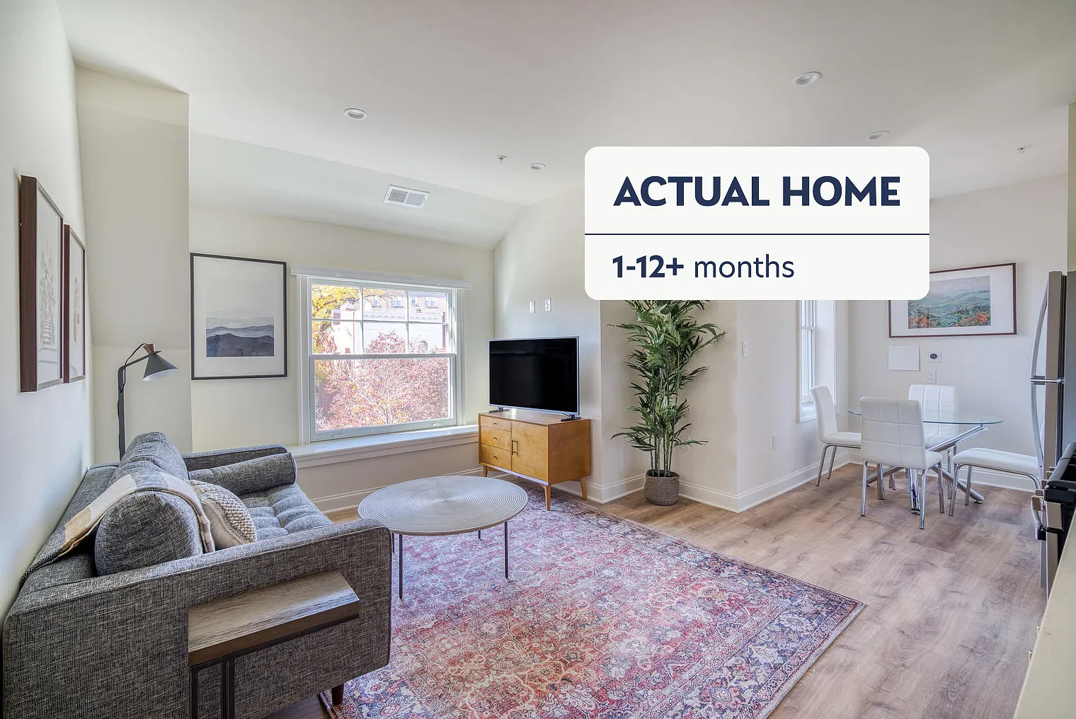 1 bed, 1.0 bath, 455 sqft, $2,260 — Photo 1
