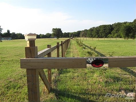 57377 Fence around property with crepe myrtle