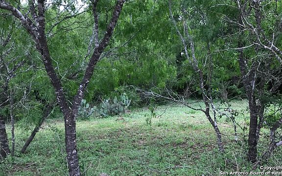 2nd image of 1237 County Road 221