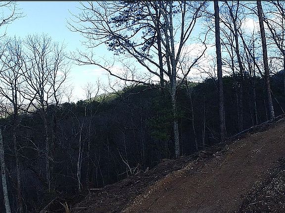 4th image of 475 Mel Hall Rd