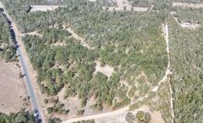 2A Fellowship Rd, Williston, SC, 29853
