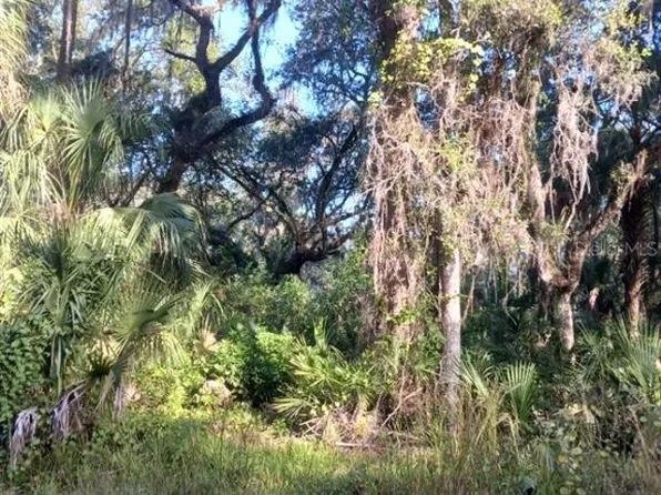 1640 Shell Harbor Rd #13, Pierson, FL 32180