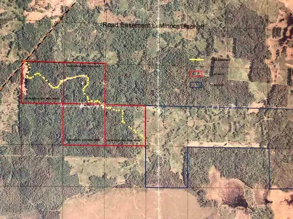 Cut Foot Forest Lake Rd, Effie, MN 56639