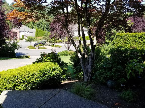 Spacious open front yard and drive way