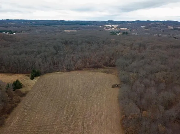 17 Acres Lowes Creek Road, Eleva, WI 54738