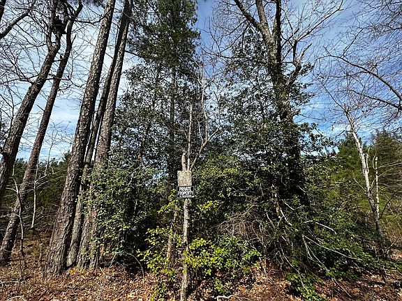 View of the parcel from Callis Field Lane.