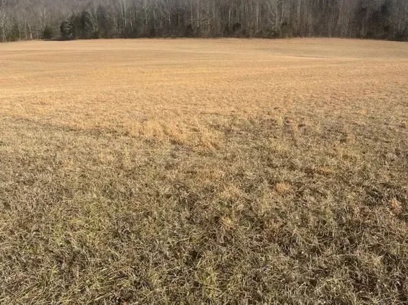 Lawson Bottom Rd, Burkesville, KY 42717