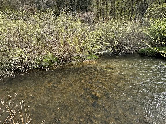 4th image of 0 Route 44 N