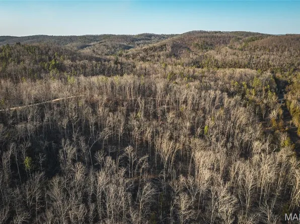 0 County Road 19 Tract 208-1, Winona, MO 65588