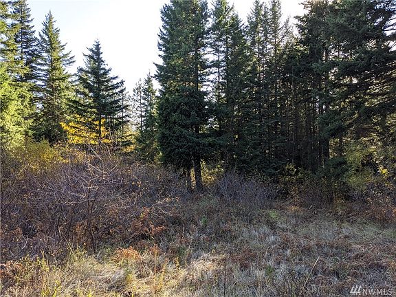 No need to put in a well, this lot is serviced by a community well! Underground power, telephone lines and DSL.