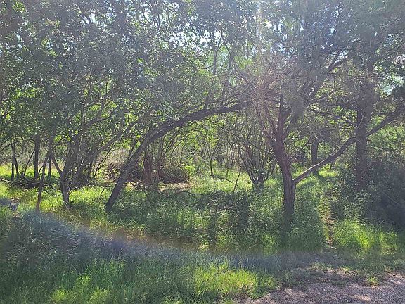 2nd image of Lot 303 Driftwood Drive