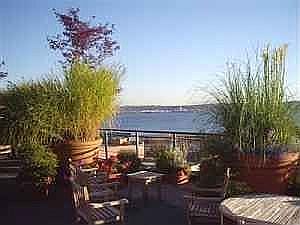 Rooftop Deck