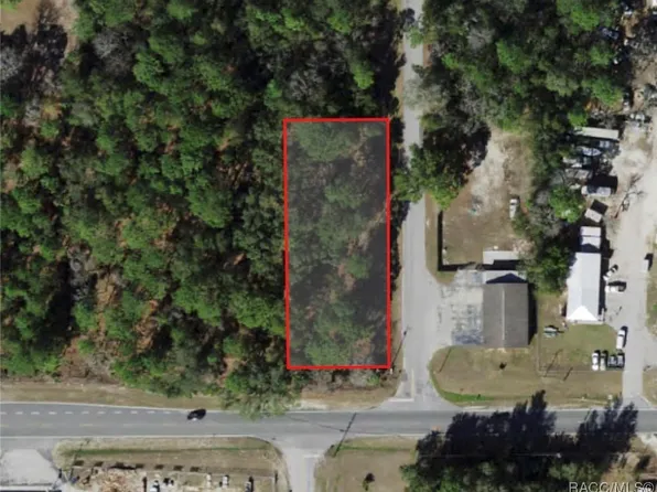 2980 S Bolton Ave, Homosassa, FL 34448