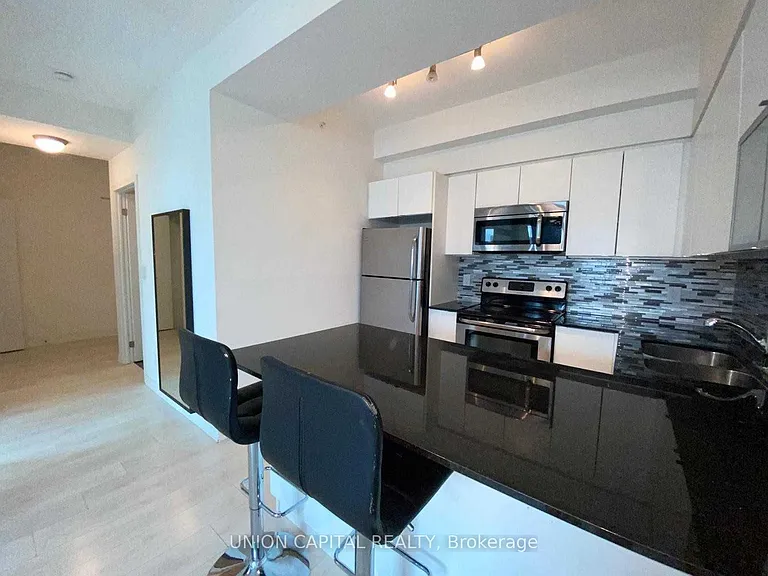 150 E Liberty St #1803 — Photo 6