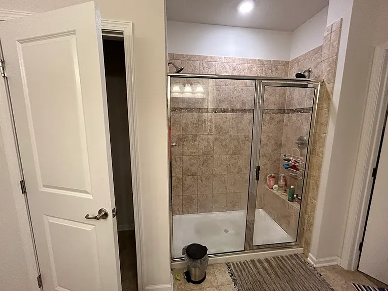 Master Bathroom Shower