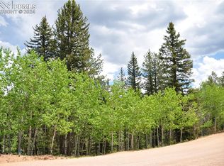 372 Vindicator Dr, Cripple Creek, CO 80813