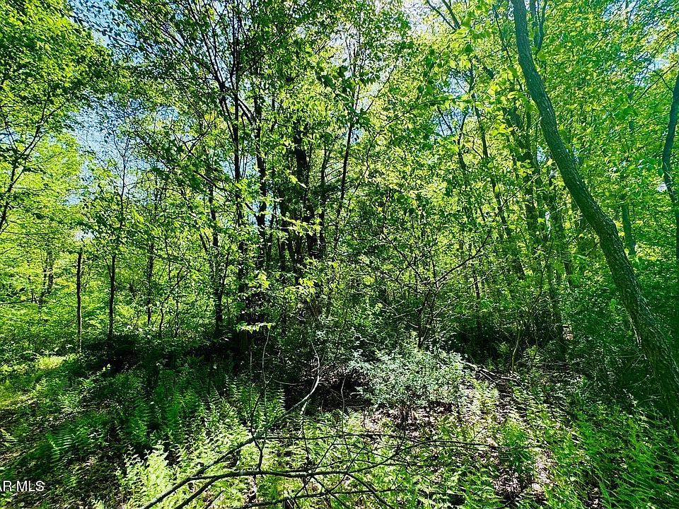 1st image of 43 Molly Meadow Ln