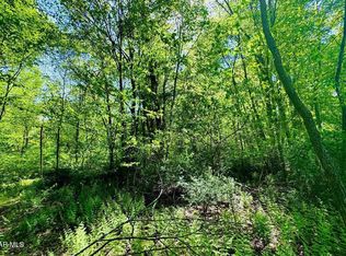 43 Molly Meadow Ln, James Creek, PA 16657