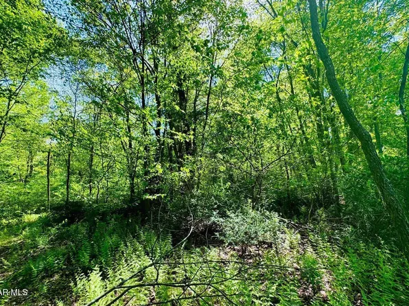 43 Molly Meadow Ln, James Creek, PA 16657
