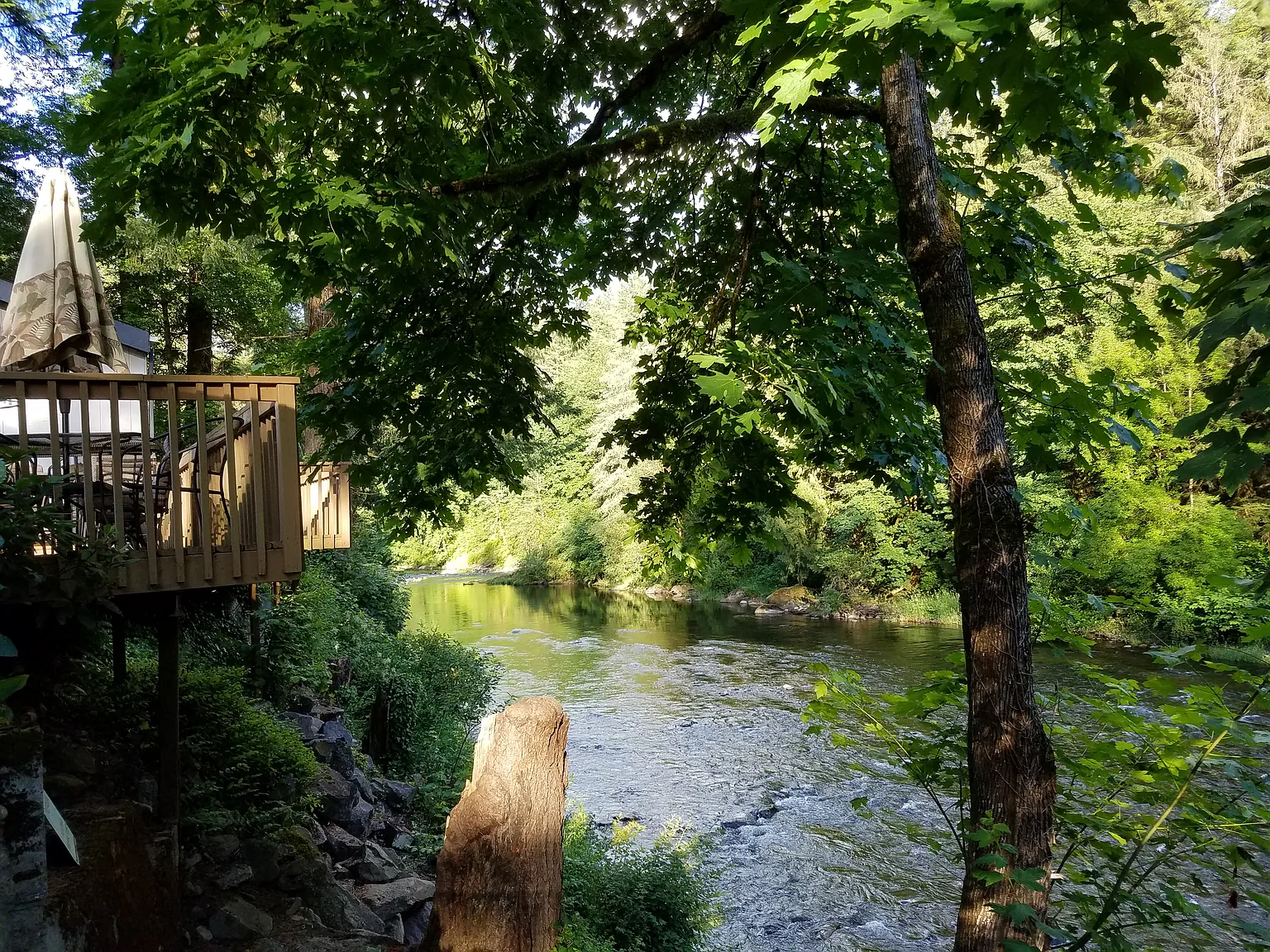 36307 NE Washougal River Rd photo 1