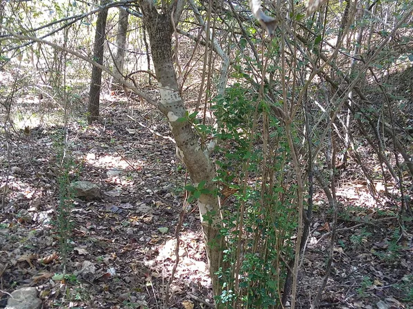 Blk3 Lot17 Esquire Dr., Theodosia, MO 65761