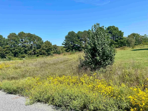 18 Eagle Valley Rd, Conway, AR 72032