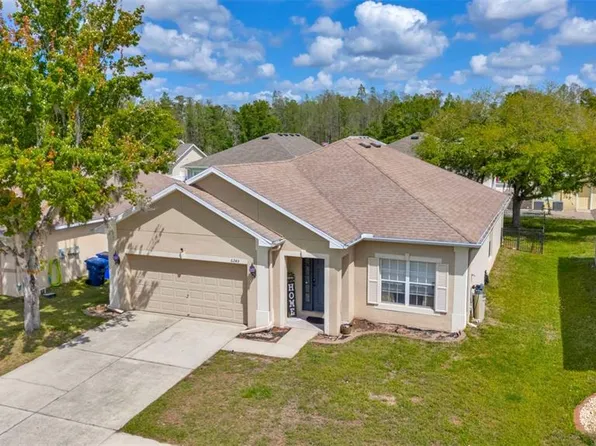 6245 Desert Peace Ave, Land O Lakes, FL 34639