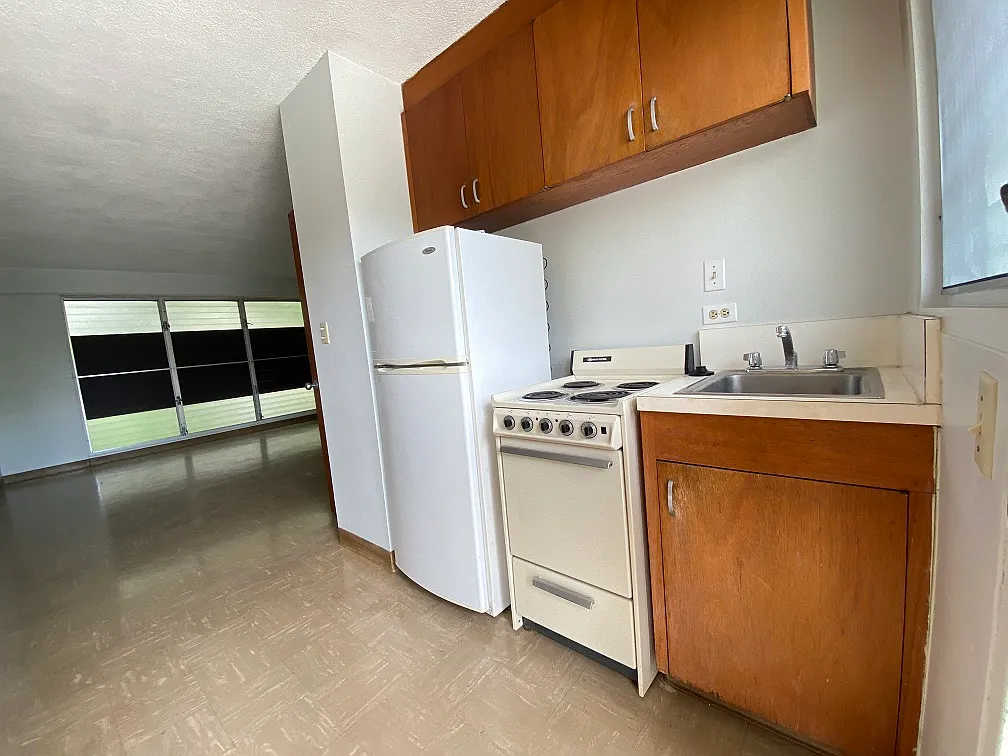 Studio, 300 sqft, $1,095 — Photo 4