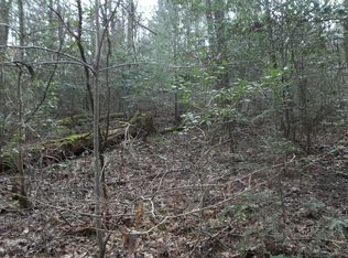 Power Dam Rd, Blue ridge, GA 30513